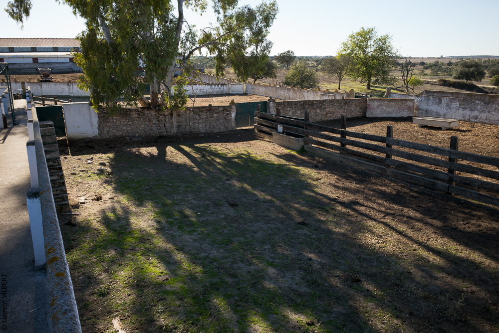 Pedrogao 20171113-0285