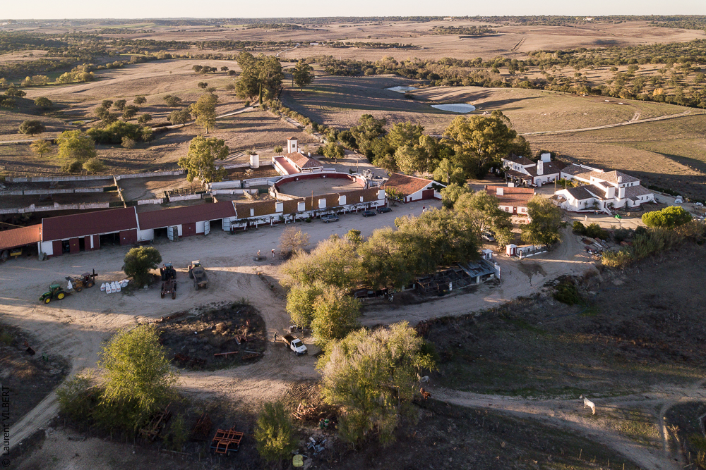 Pedrogao 20171113-0294