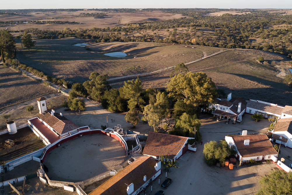 Pedrogao 20171113-0307