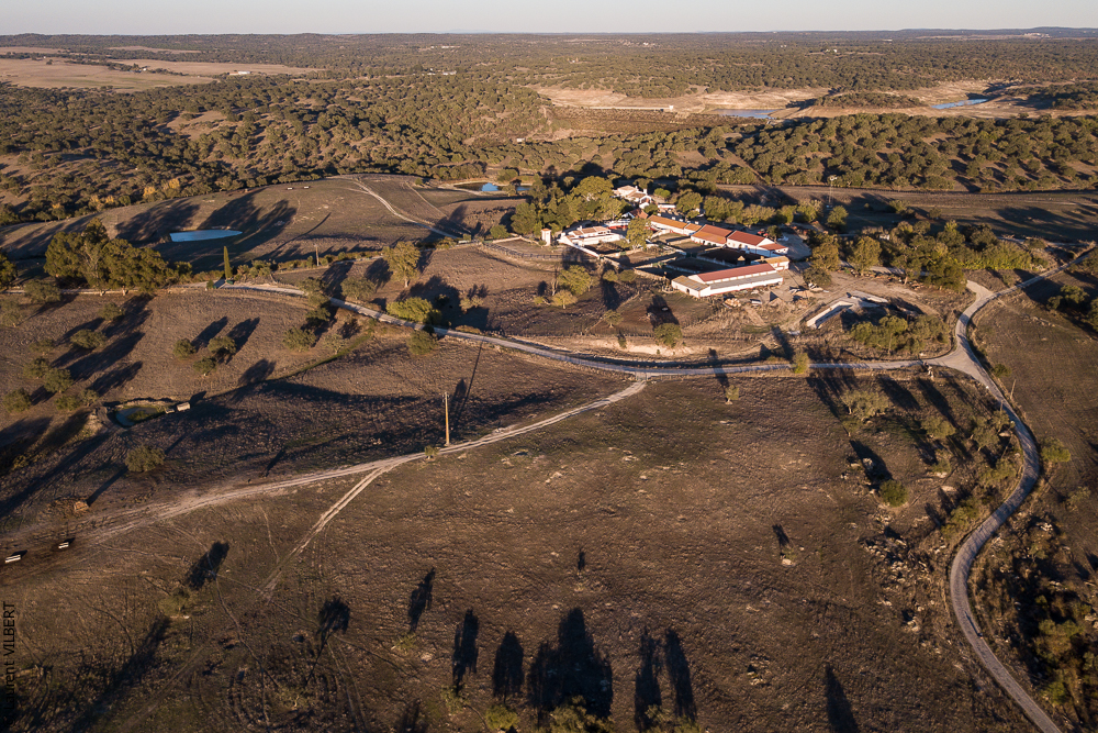 Pedrogao 20171113-0326