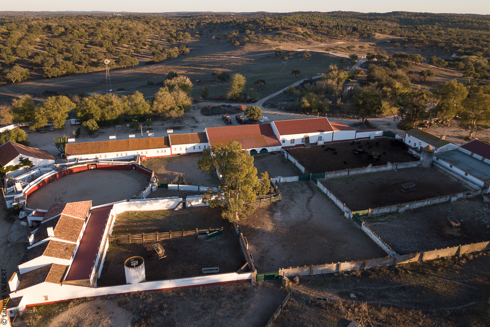 Pedrogao 20171113-0369