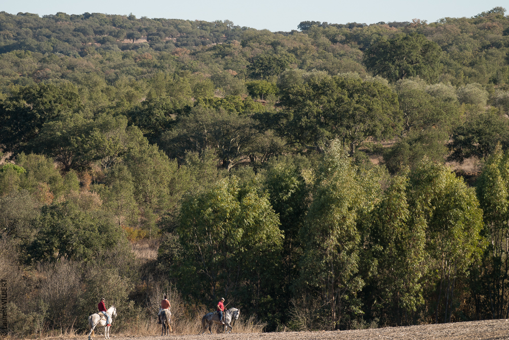 Pedrogao 20171113-0399