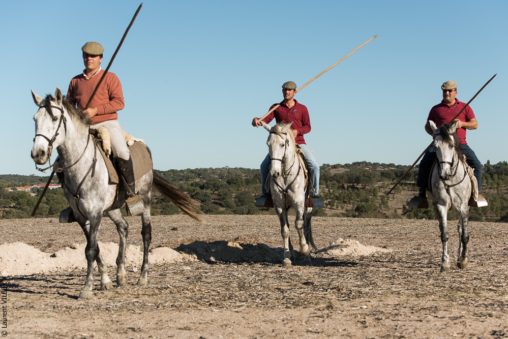 Pedrogao 20171113-0406