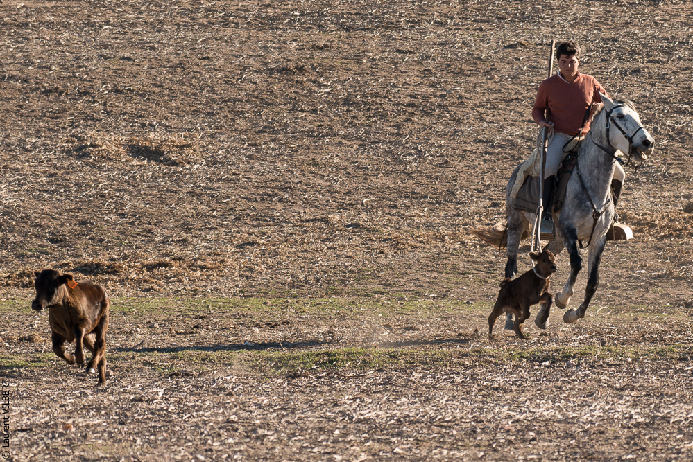 Pedrogao 20171113-0429