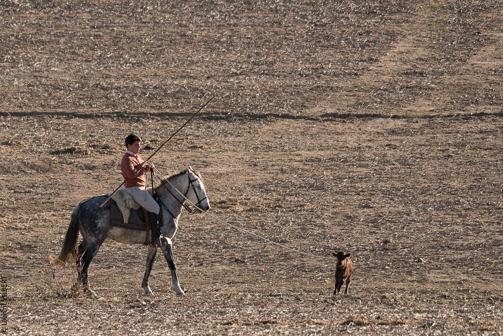 Pedrogao 20171113-0433