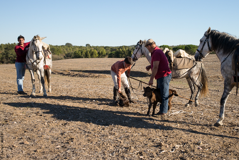 Pedrogao 20171113-0490