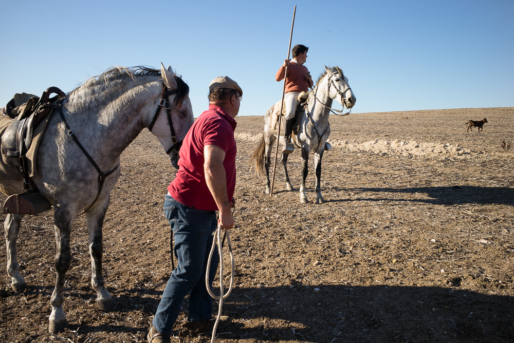 Pedrogao 20171113-0537