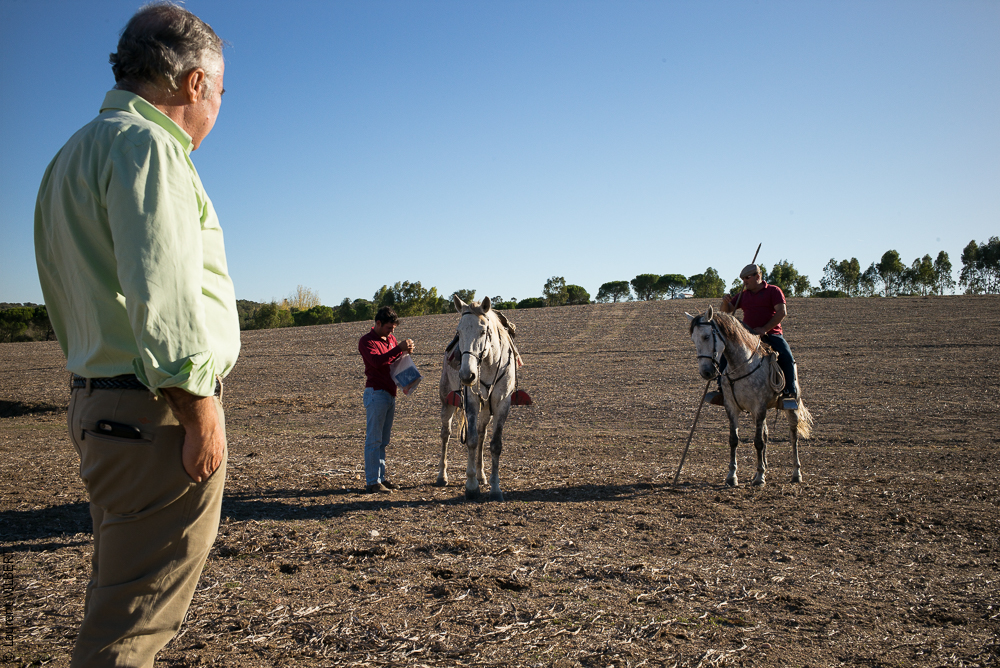 Pedrogao 20171113-0571