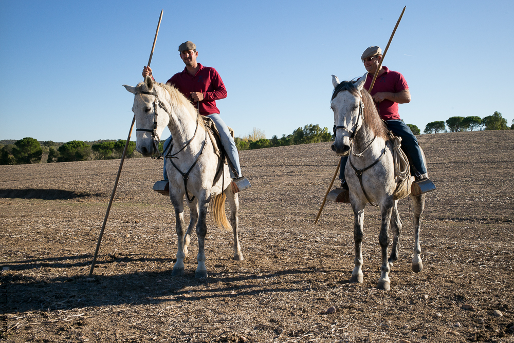 Pedrogao 20171113-0573