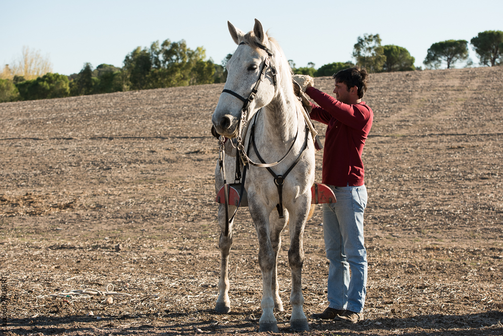 Pedrogao 20171113-0585