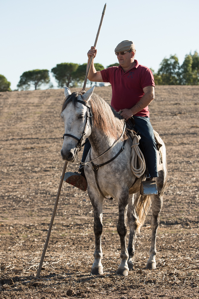 Pedrogao 20171113-0594