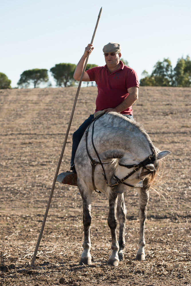 Pedrogao 20171113-0598