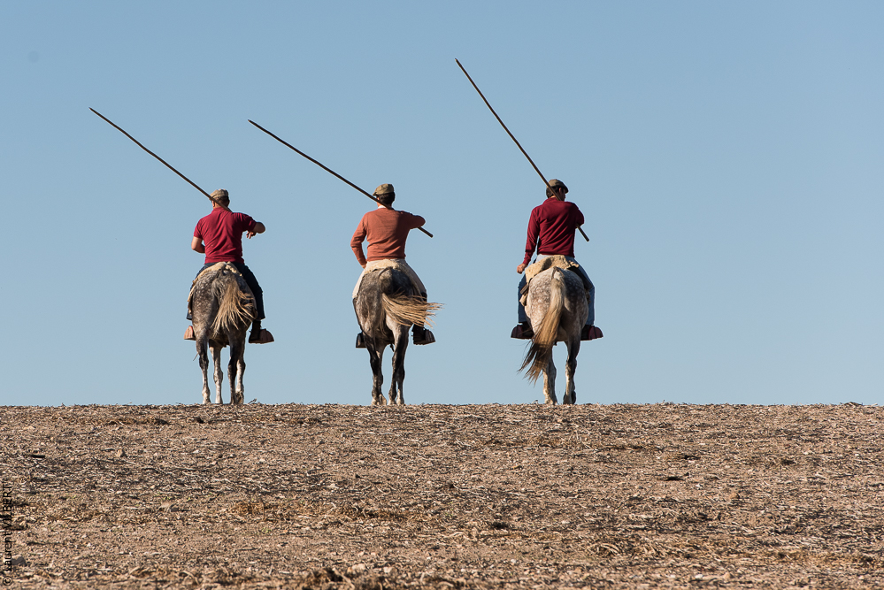 Pedrogao 20171113-0623