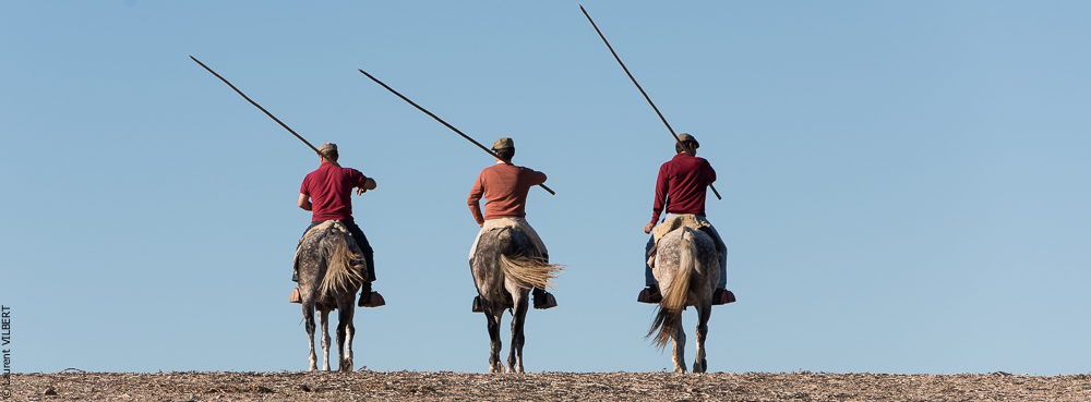 Pedrogao 20171113-0623