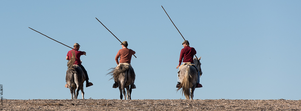 Pedrogao 20171113-0627