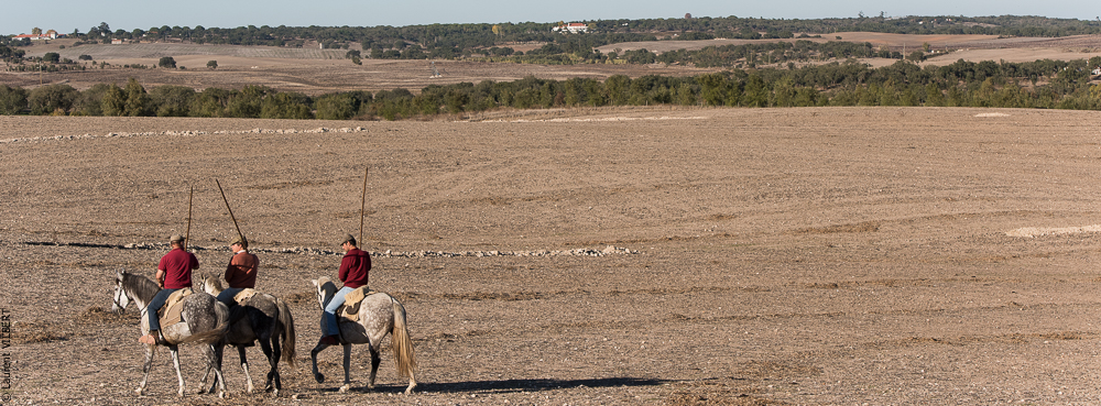 Pedrogao 20171113-0629