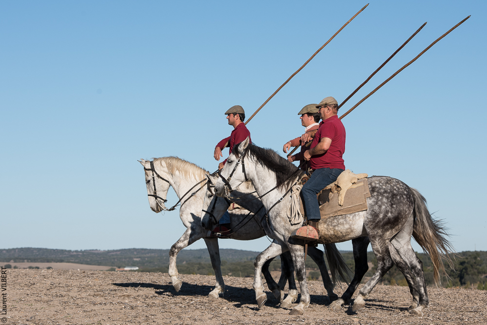 Pedrogao 20171113-0637