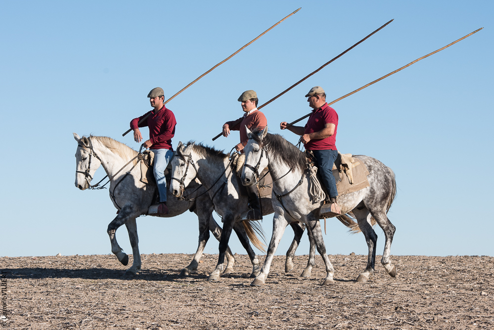 Pedrogao 20171113-0643