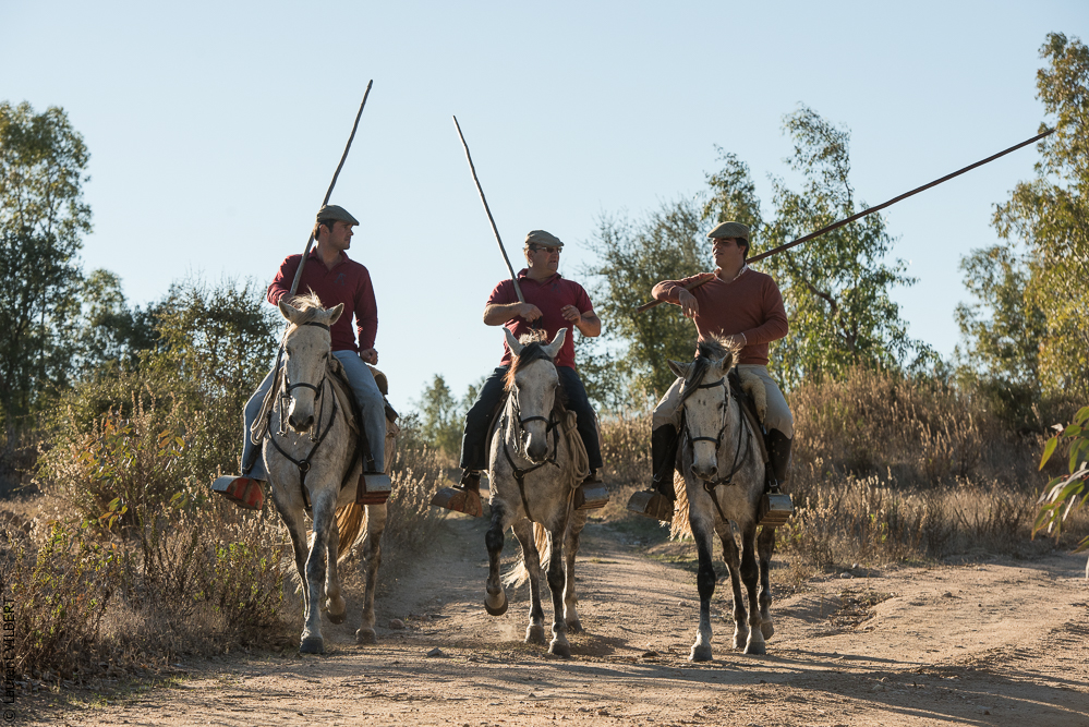 Pedrogao 20171113-0674