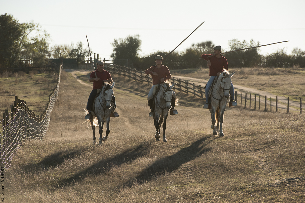 Pedrogao 20171113-0799