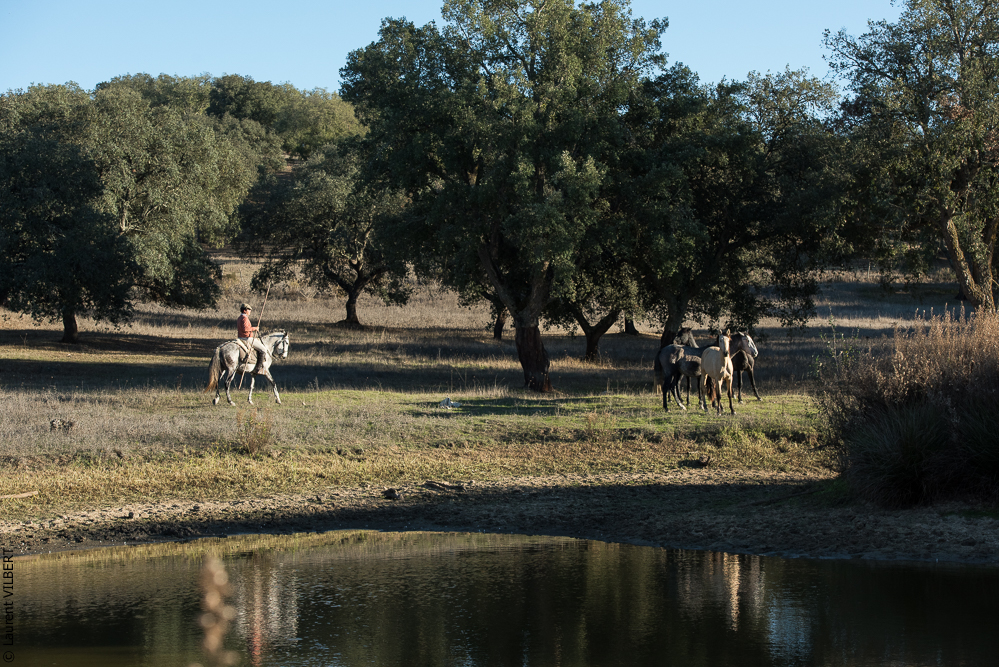 Pedrogao 20171113-0893