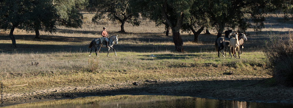 Pedrogao 20171113-0894