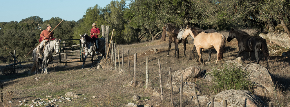Pedrogao 20171113-0965