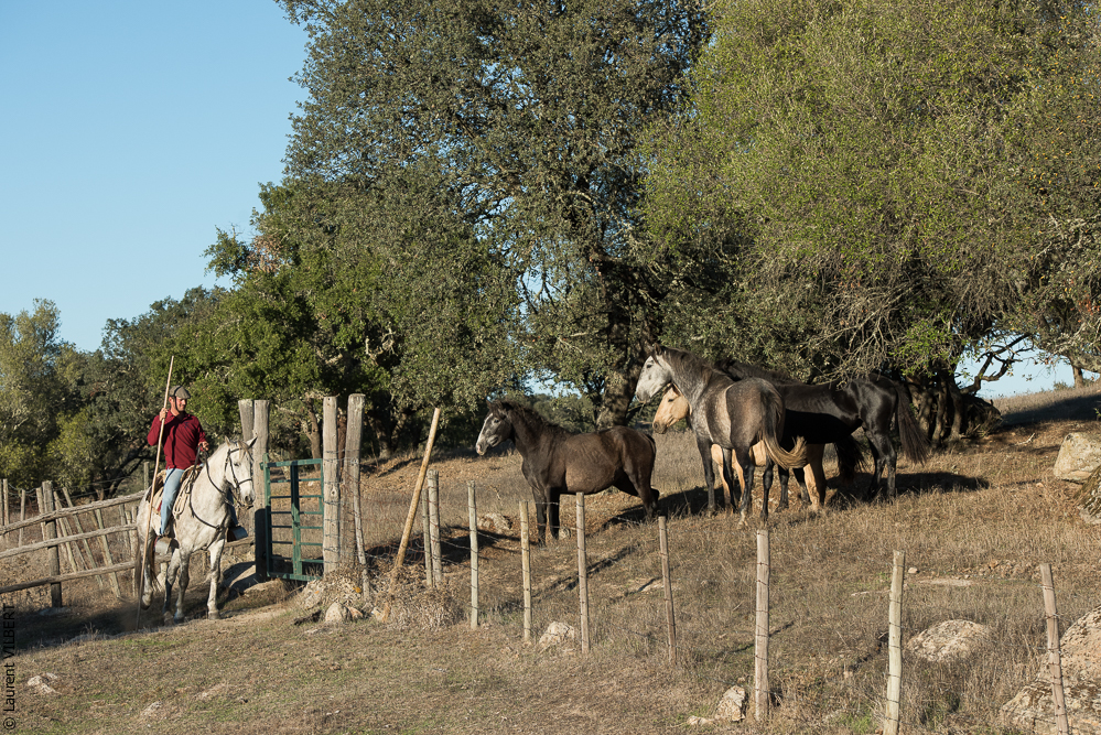 Pedrogao 20171113-0976