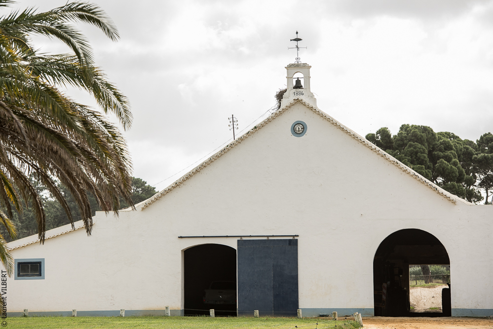 Herdade do Pinheiro 20191112-0081