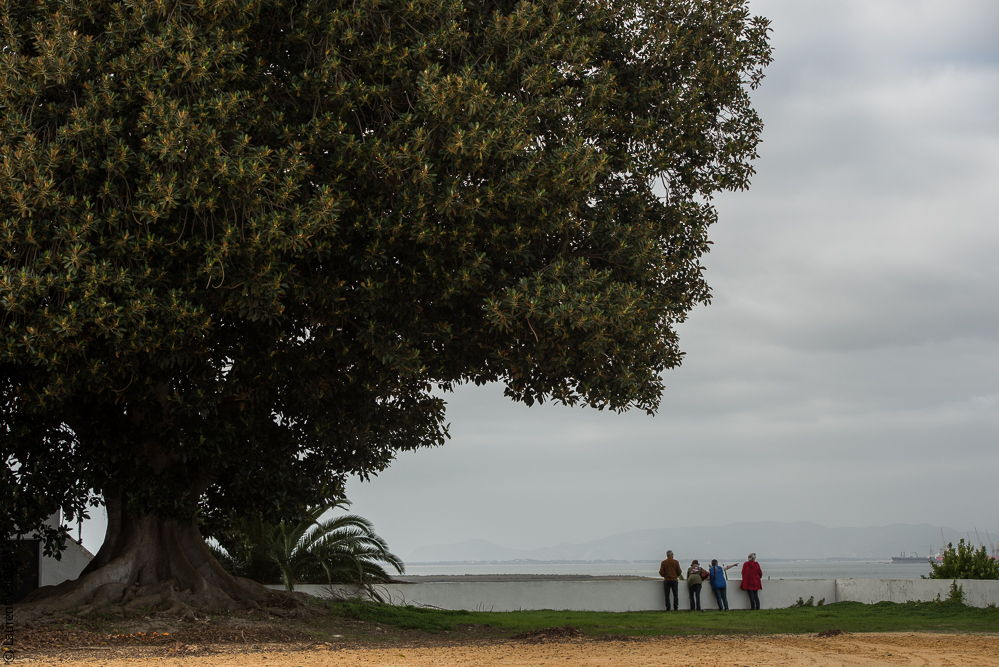 Herdade do Pinheiro 20191112-0094