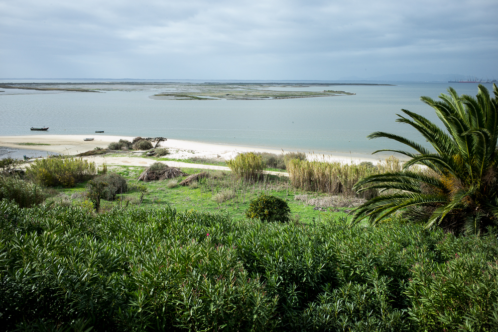 Herdade do Pinheiro 20191112-0098