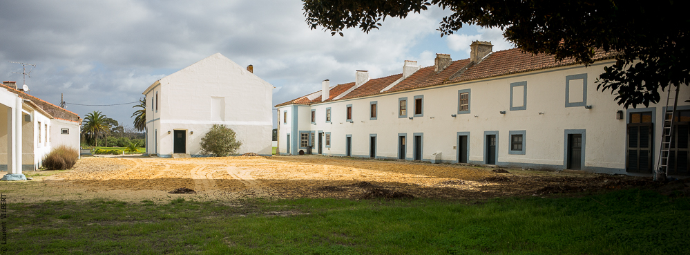 Herdade do Pinheiro 20191112-0100