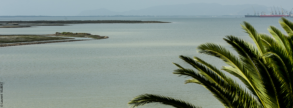 Herdade do Pinheiro 20191112-0110