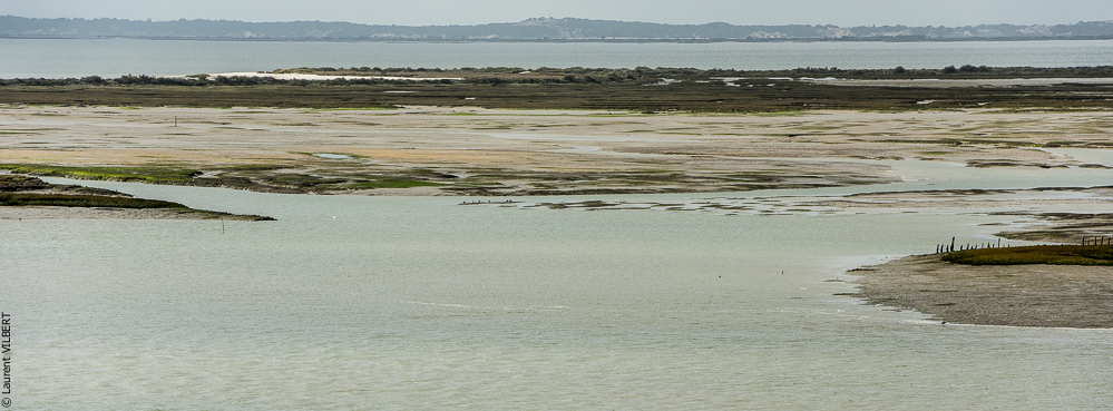 Herdade do Pinheiro 20191112-0113