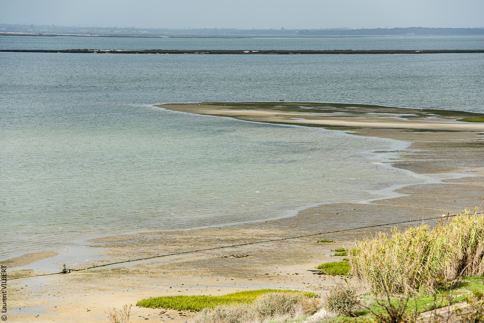 Herdade do Pinheiro 20191112-0117