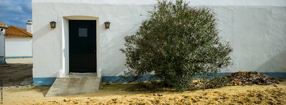 Herdade do Pinheiro 20191112-0121