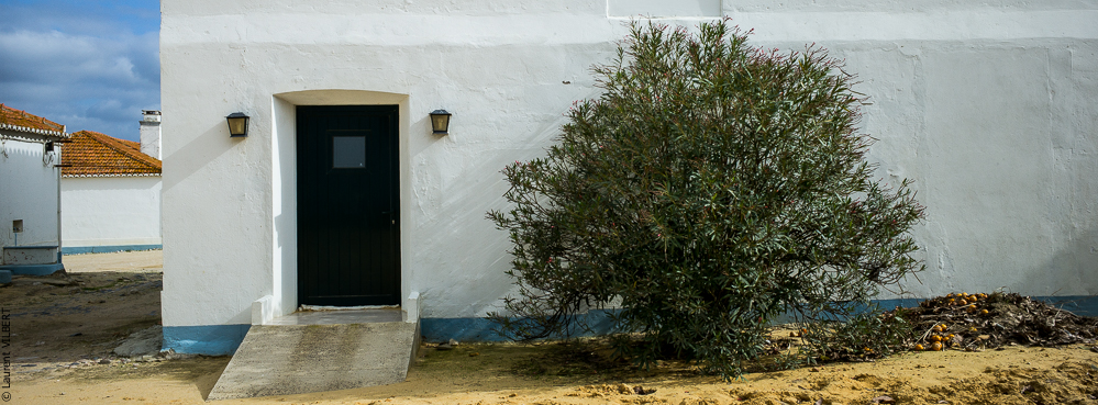 Herdade do Pinheiro 20191112-0123