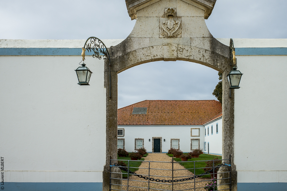 Herdade do Pinheiro 20191112-0157