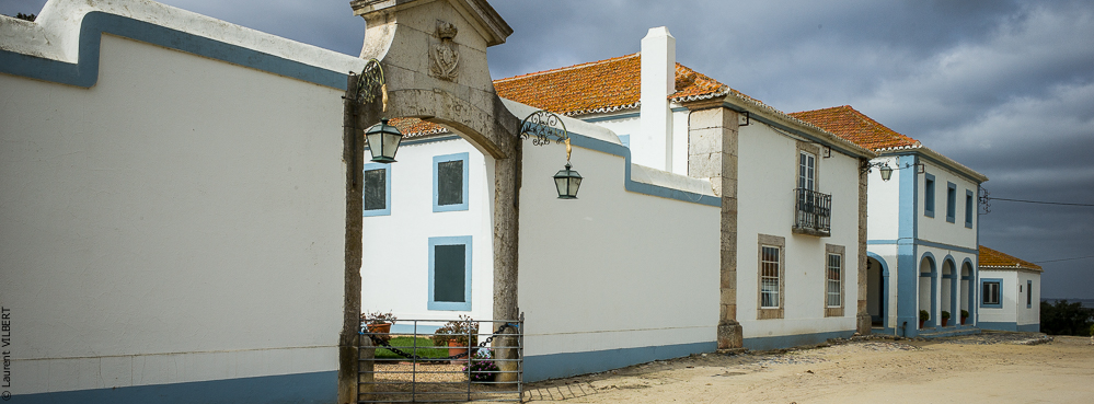 Herdade do Pinheiro 20191112-0160