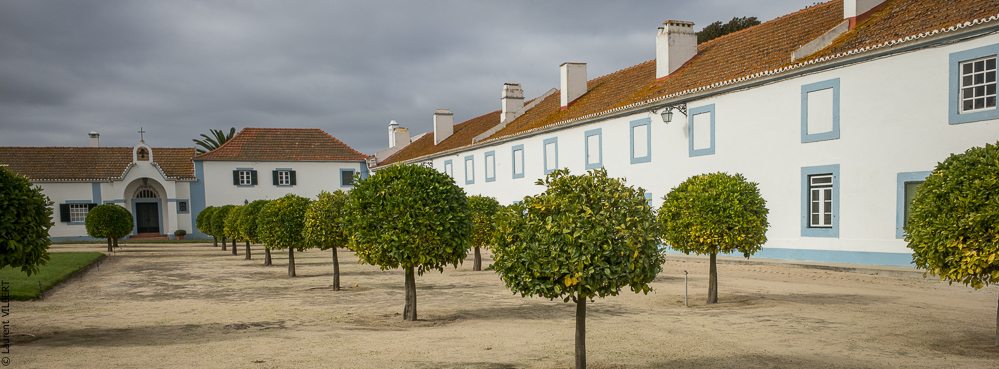 Herdade do Pinheiro 20191112-0176