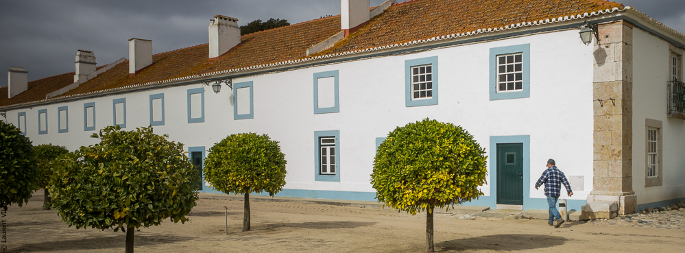 Herdade do Pinheiro 20191112-0180