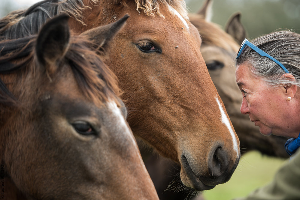 Herdade do Pinheiro 20191112-0193