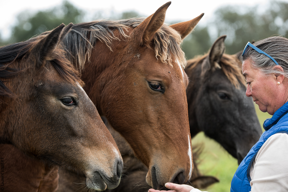 Herdade do Pinheiro 20191112-0195