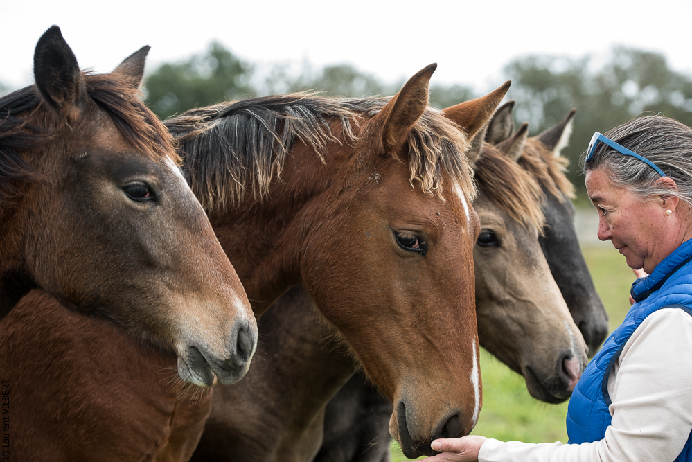 Herdade do Pinheiro 20191112-0198
