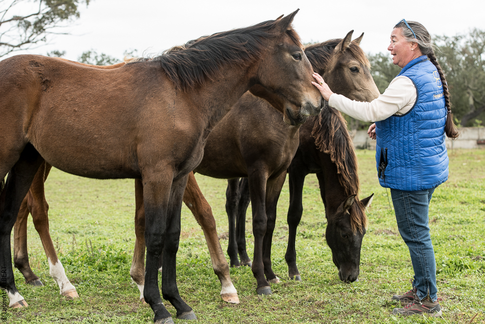 Herdade do Pinheiro 20191112-0213