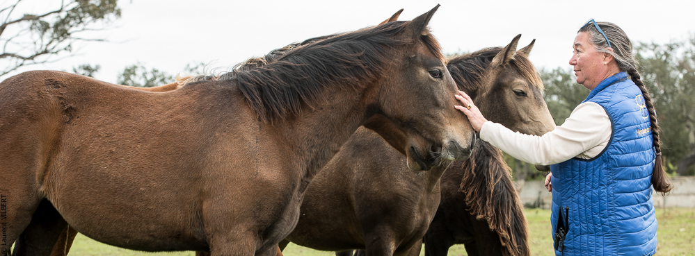 Herdade do Pinheiro 20191112-0214