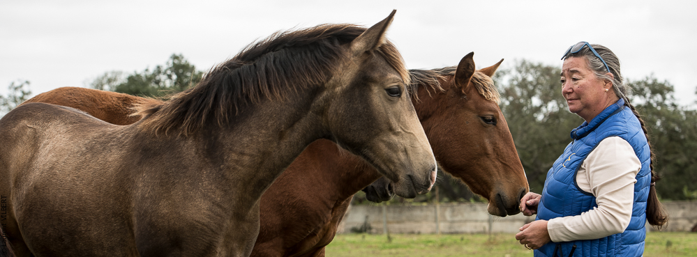 Herdade do Pinheiro 20191112-0229