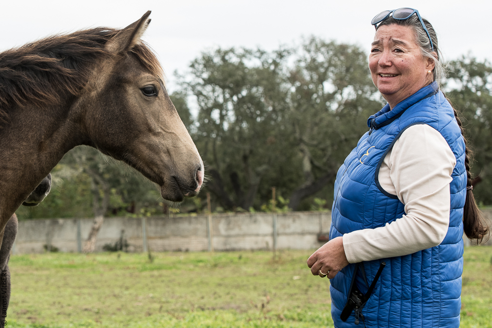 Herdade do Pinheiro 20191112-0234