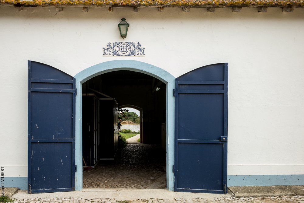 Herdade do Pinheiro 20191112-0446