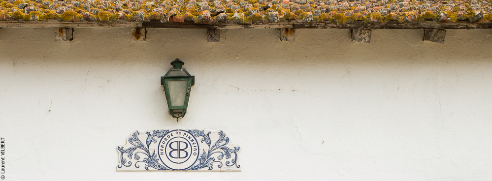 Herdade do Pinheiro 20191112-0446